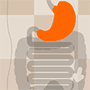 Icon for educational game GI Tract chain game